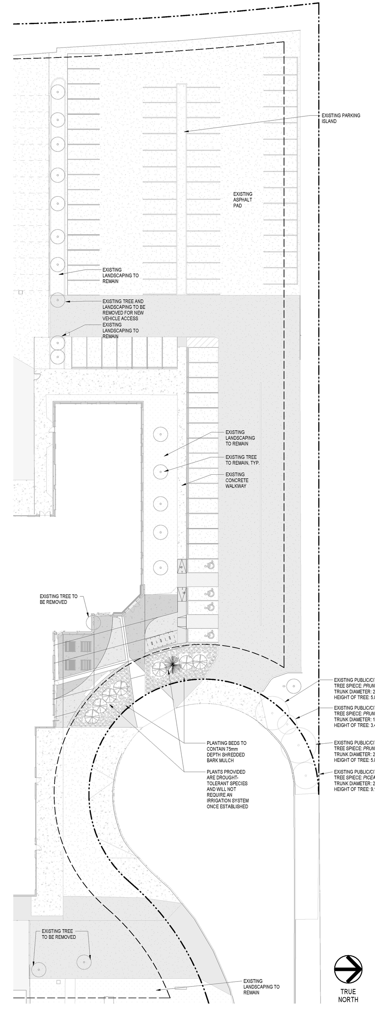 Construction site plan for project from page 3 of the file 'DP2026-00432 DMAP Plans (Submitted) 2026-01-26 (3MB)'