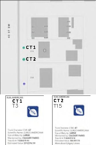 Floor plan for project from page 2 of the file 'DP2026-03702 DMAP Plans (Submitted) 2026-07-13 (6MB)'