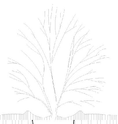 Image from page 52 of the file '2024-07-03 - Urban Design Brief - D02-02-24-0024'