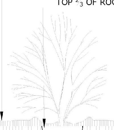 Image from page 52 of the file '2024-07-03 - Urban Design Brief - D02-02-24-0024'