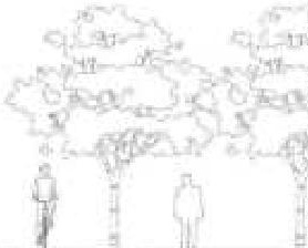 Image from page 25 of the file '2020-11-26 - 2nd submisision - Design Brief - D07-12-20-0077'