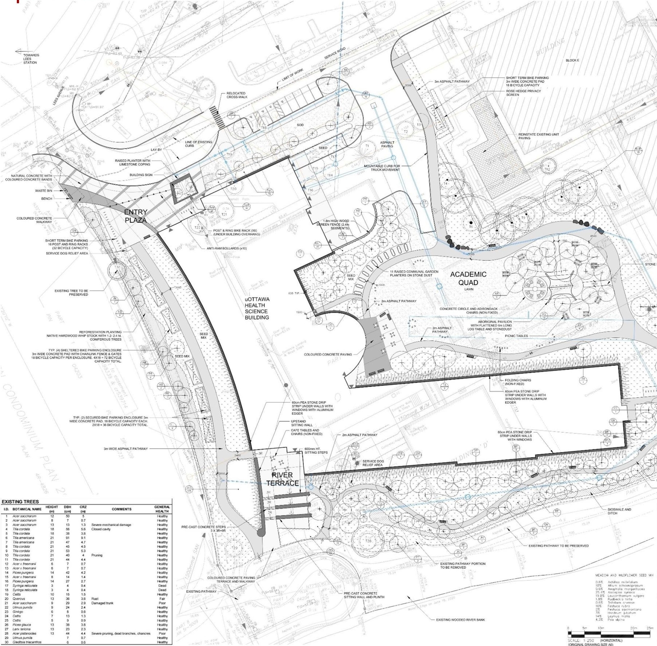 Construction site plan for project from page 24 of the file '2021-06-29 - Design Brief - D07-12-21-0095'
