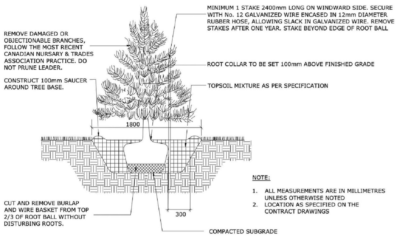 Image from page 23 of the file '2023-12-19 - DESIGN BRIEF - D07-12-23-0047'