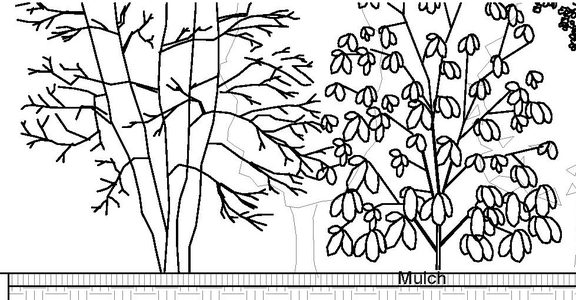 Image from page 44 of the file '2024-06-26 - Urban Design Brief - D07-12-24-0045'