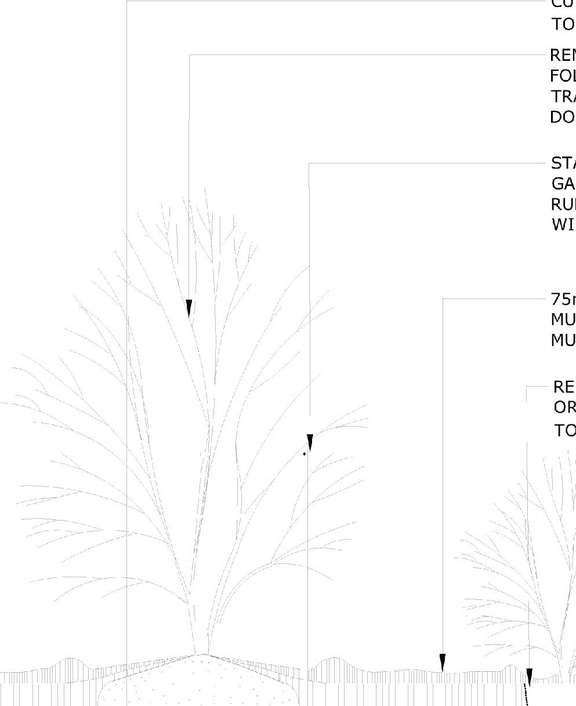 Image from page 52 of the file '2024-08-20 - Urban Design Brief - D07-12-24-0089'