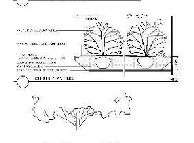 Image from page 22 of the file '2024-12-13 - Urban Design Brief - D07-12-24-0172'