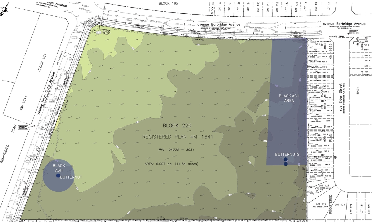 Construction site plan for project from page 14 of the file '2025-06-20 - Urban Design Brief - D07-12-25-0045'
