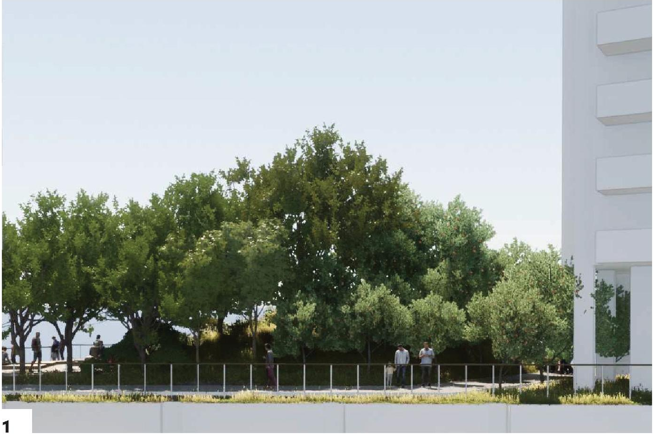 Image from page 27 of the file 'Landscape plans'