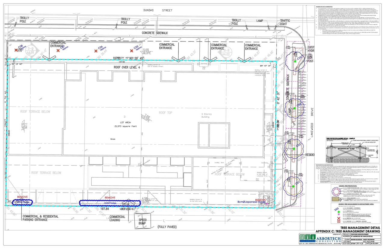 Construction site plan for project from page 7 of the file 'Arborist report'