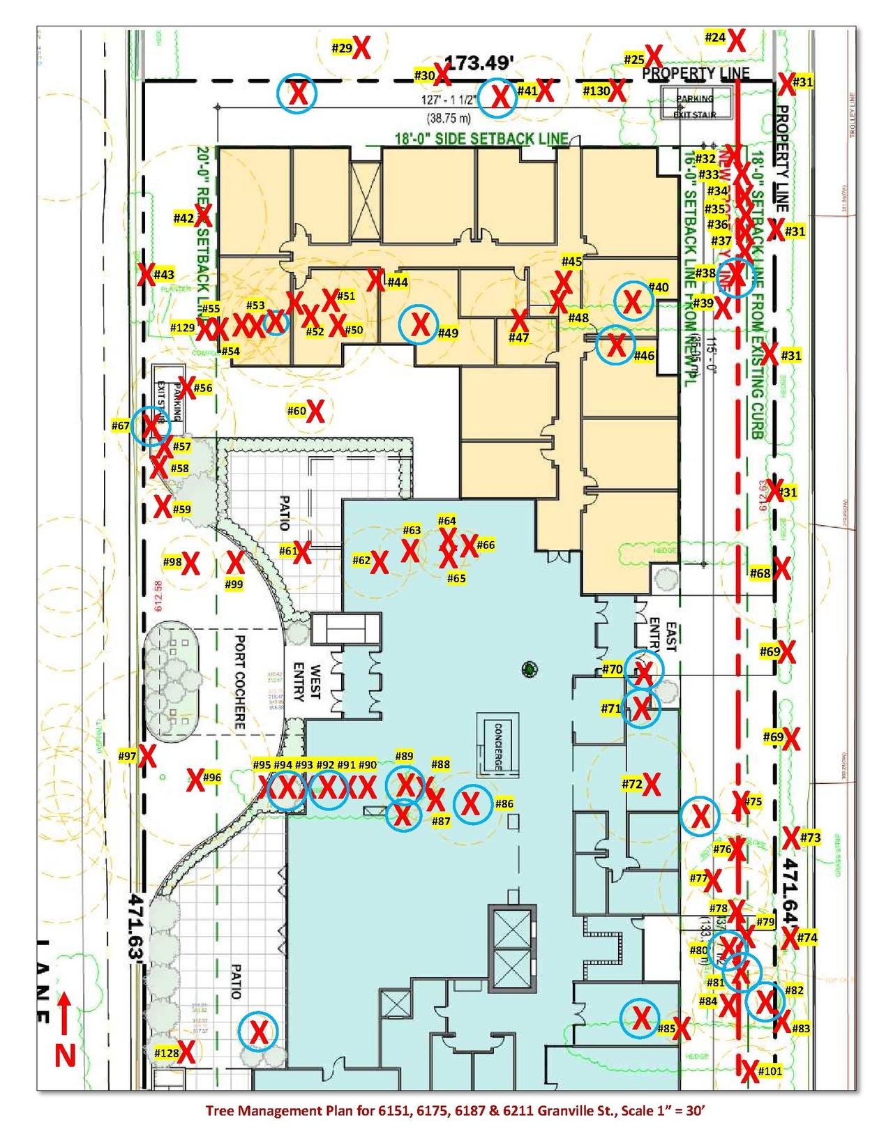 Construction site plan for project from page 38 of the file 'Arborist report'