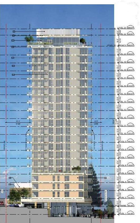 Image from page 39 of the file 'Referral report'